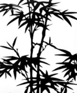 kussenhoes zwart bamboe
