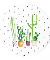 muismat cactus