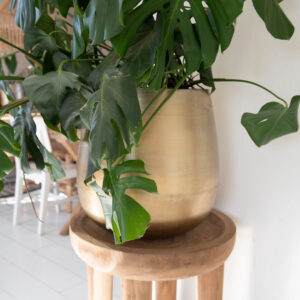 plantenpot goud