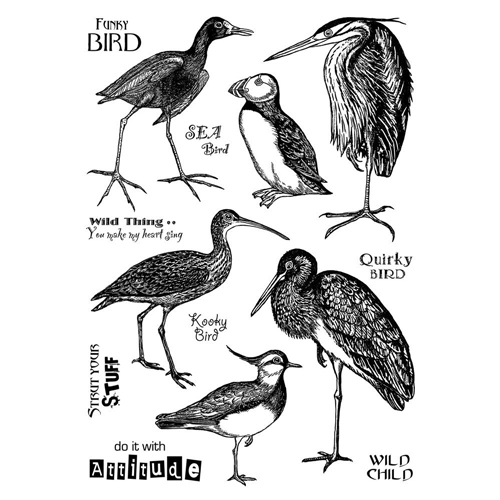 stempels vogels