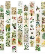 set 50 ansichtkaarten botanisch vintage