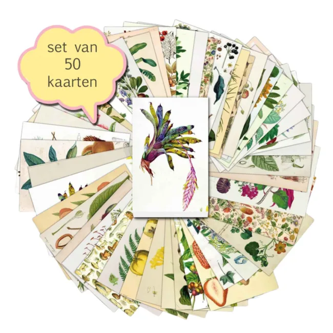 set 50 ansichtkaarten Botanisch Vintage