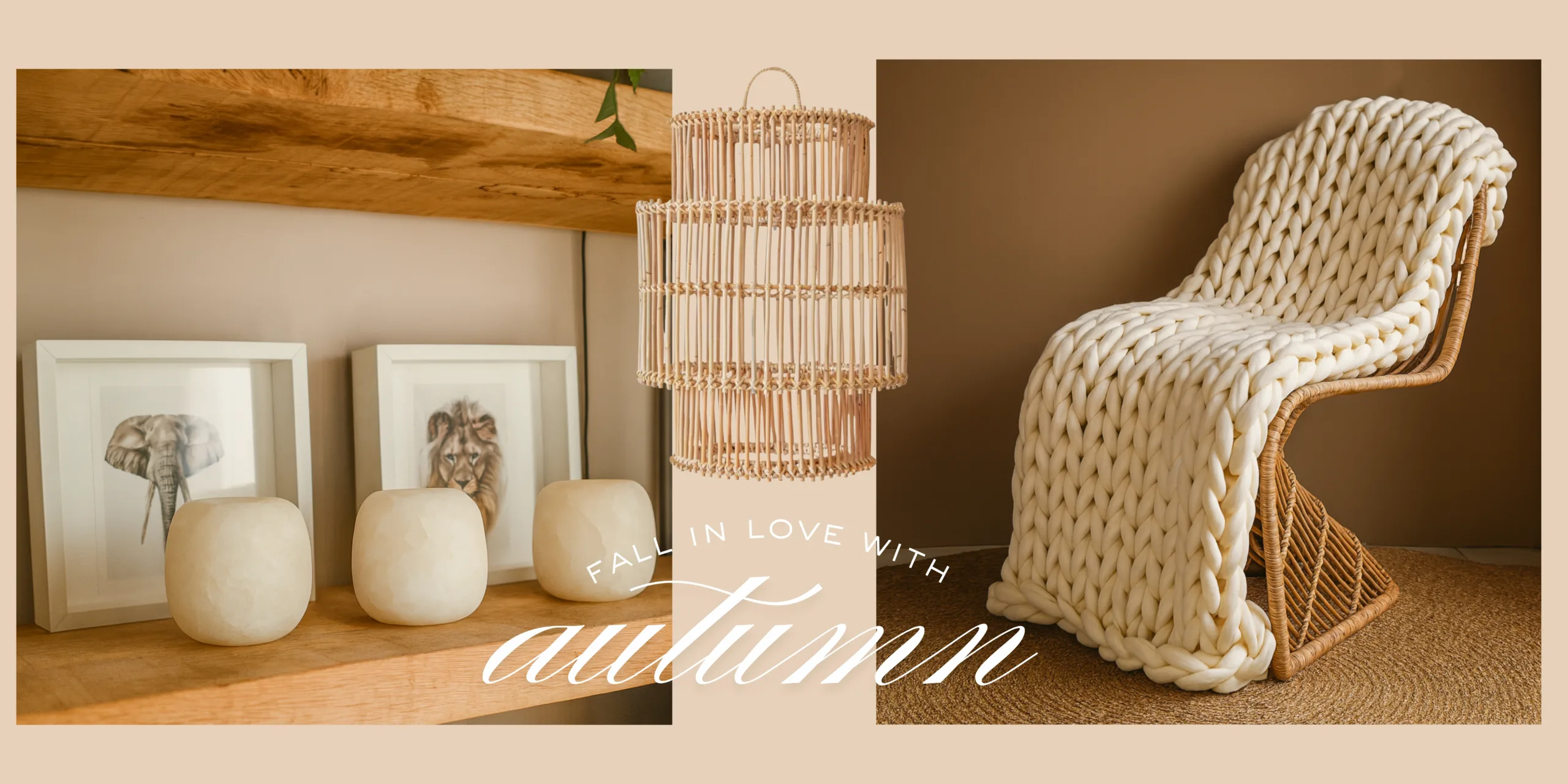 fall in love with scaled